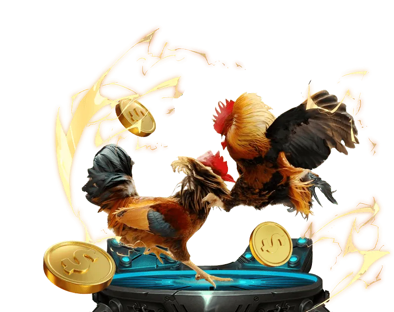 Cá cược thể thao K89